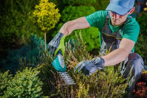 landscaping services Owenton